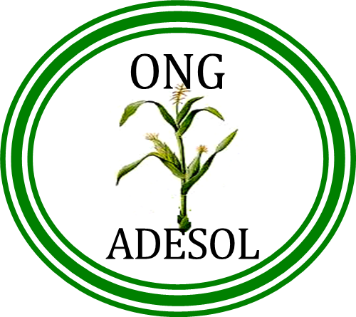 ONG ADESOL