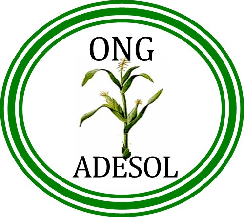 ONG ADESOL